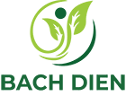 Bach Dien Co. Ltd.
